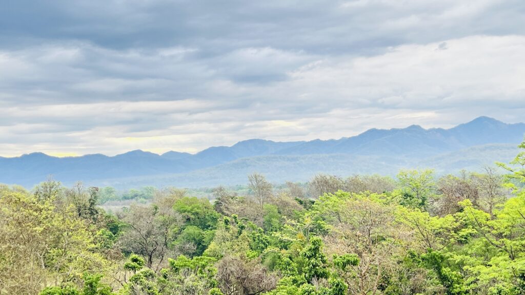 Panoramic view of mountains and lush green forest near Jahnavi Wellness