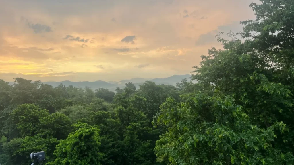 Golden sunrise over lush green forest and distant mountains, creating a peaceful and natural wellness atmosphere.